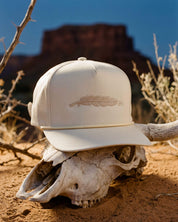The Buckskin hat on a cow skull in the desert