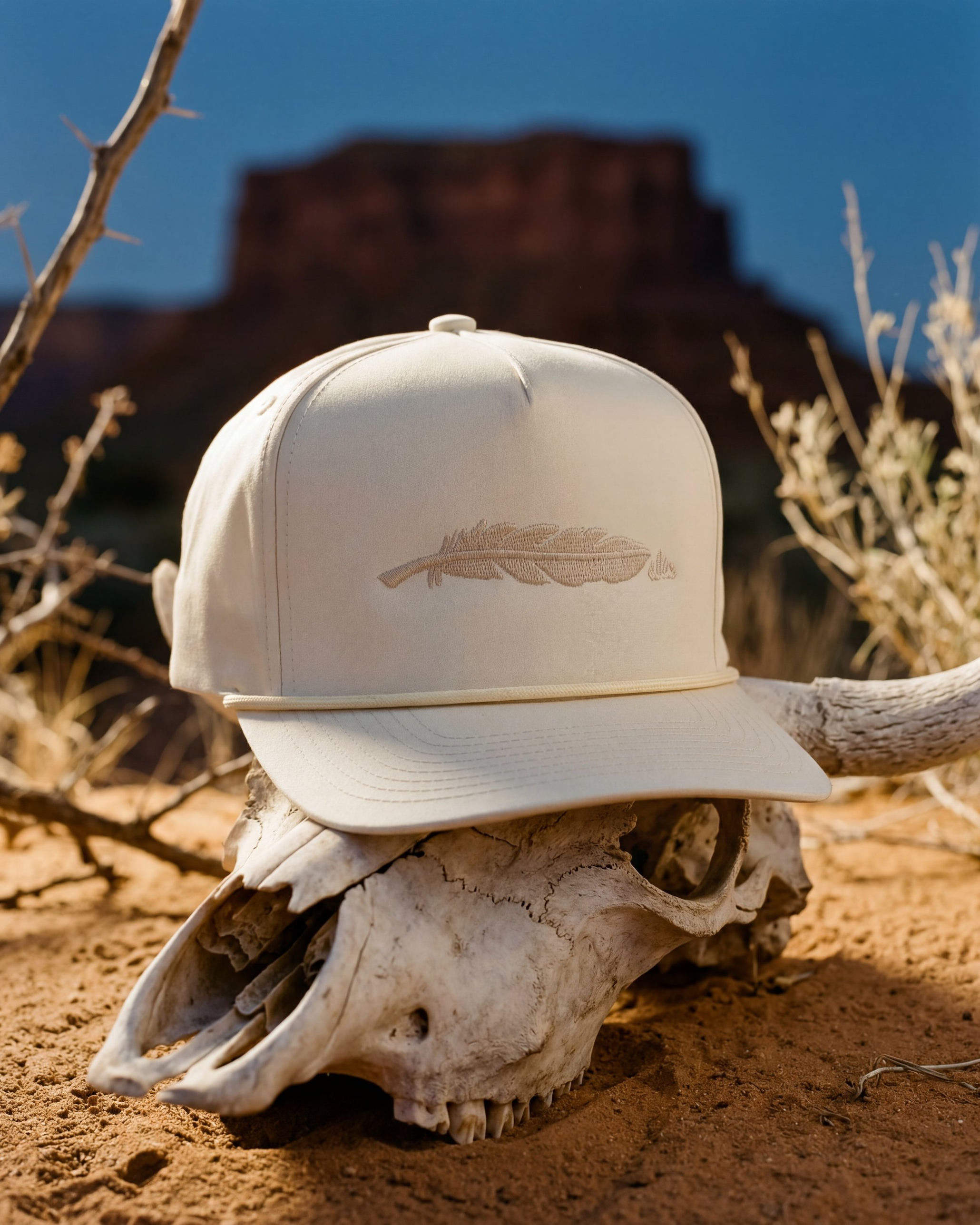 The Buckskin hat on a cow skull in the desert